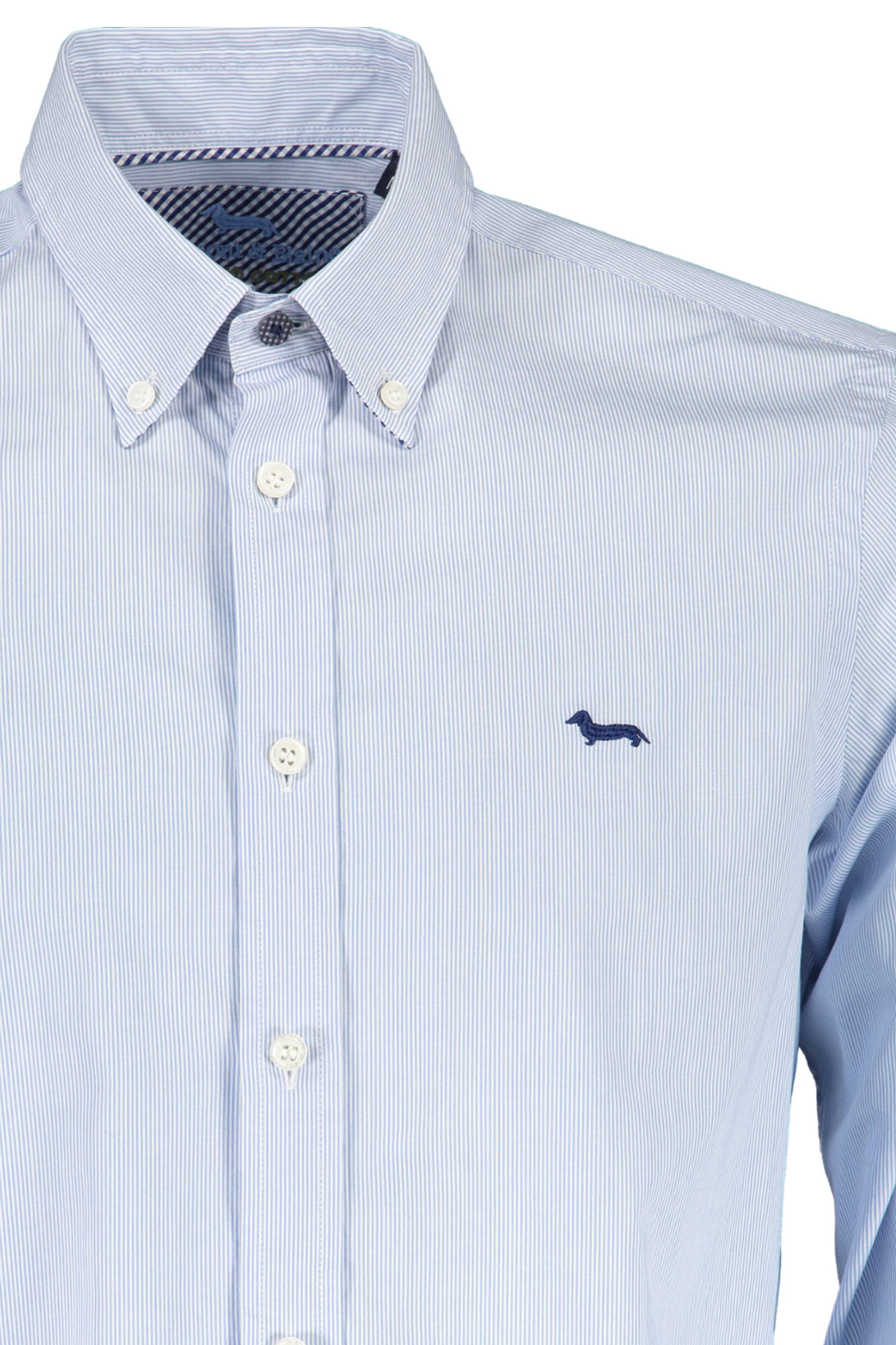 camisa hombre HARMONT \u0026 BLAINE celestial algodón SB296 - ZOOODE.COM